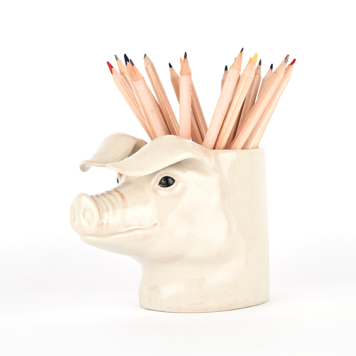 Quail Ceramics - British Lop Pig Pencil Pot