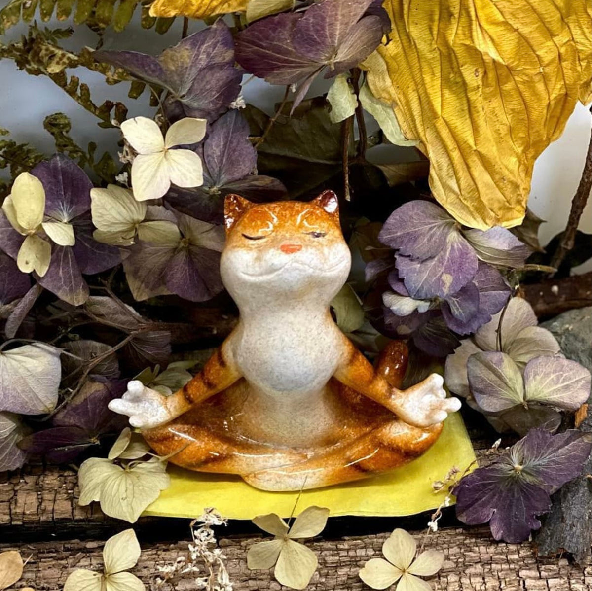 Comical Cats Yoga