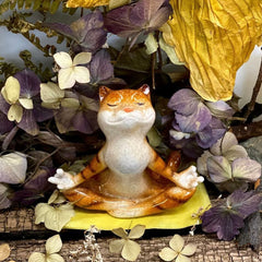 Comical Cats Yoga